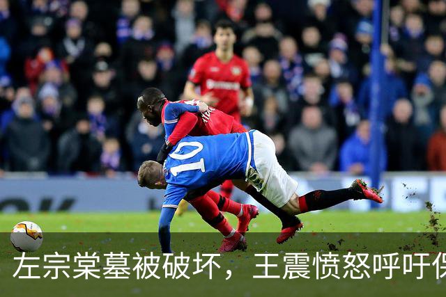 左宗棠墓被破坏，王震愤怒呼吁保护历史遗产